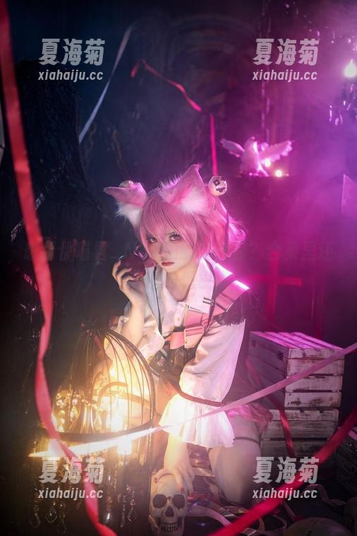 想看伊喵君_Nya拍的初音酱？合集里还有你的想象哦
