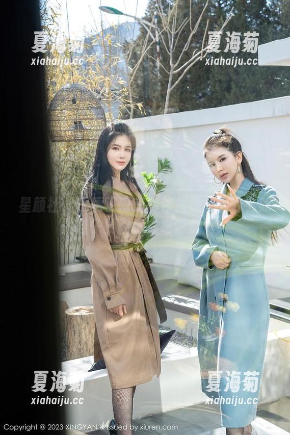 星颜社 - 王俪丁呀美脚作品集：为什么我的鞋子要因为它感到羞愧？